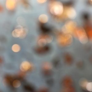 Meet your Posher, Alexa.